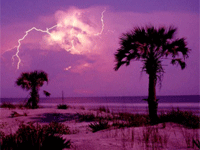 ����ͼ������̲�Ͽ��Ϲ�����