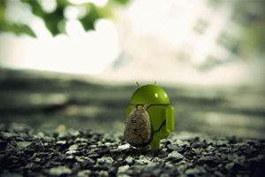 �ȸ��չ�Ħ�м��ٰ�׿��Ӫ�ֻ�����ӭ��Ա��