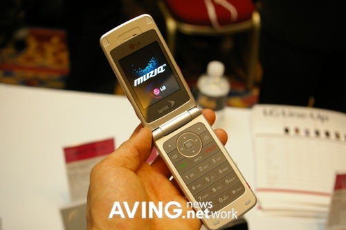 ��ҫ��˹ά��˹LG����չ����»�����(3)