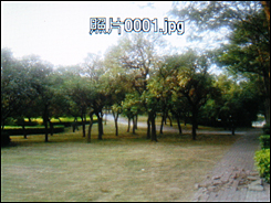 ۴ǵS5608U(3)