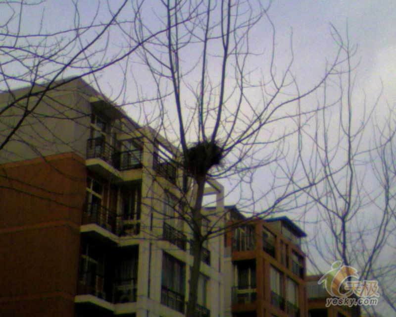 鿴 SGH-D728 һͼ