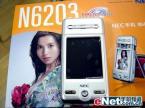 NEC N6203