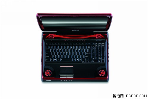 ������ɫ��֥��������Qosmio�ʼǱ�