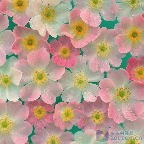 玩转iPad 随心所欲自己制作精美壁纸(2)_笔记