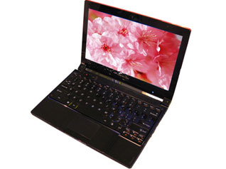 ���� IdeaPad U110
