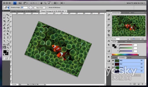 Adobe Photoshop CS4 最新界面截图赏析