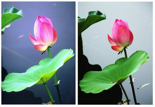 摄影知识普及如何用好滤光镜