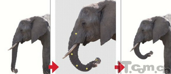 �¹��ܻ���PhotoshopCS5��ͼ����������