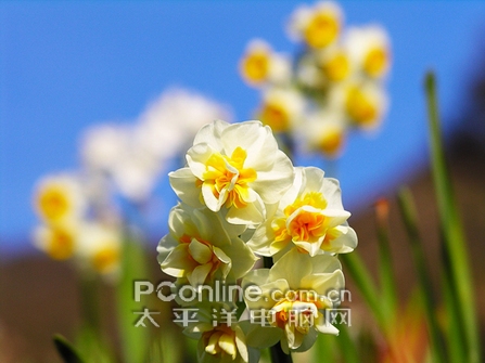 文件加密了也就不会有艳照门--加密全接触(6)_