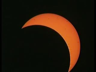 ��ͼ��2006����������ȫʳ��̫���𽥸�ԭ