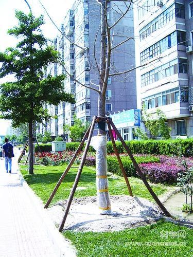 顺其自然构建城市荒凉之美(组图)