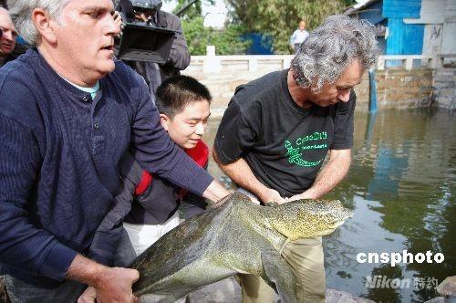 ����Ψһ�ư߱�������۰߱�Բ��(ͼ)