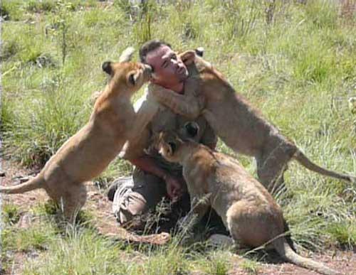 南非狮人与非洲狮相互拥抱玩耍(组图)