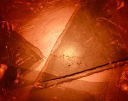 ��ʿ���Ƴ����ȳ��^�F�ļ{�׼���(�D)