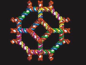 ��������DNA�Ƴɿ�����δ������