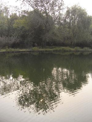 长焦与广角兼得理光便携卡片机R10评测(7)