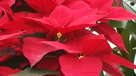 5.5����+����800����������VIBEZ����(4)