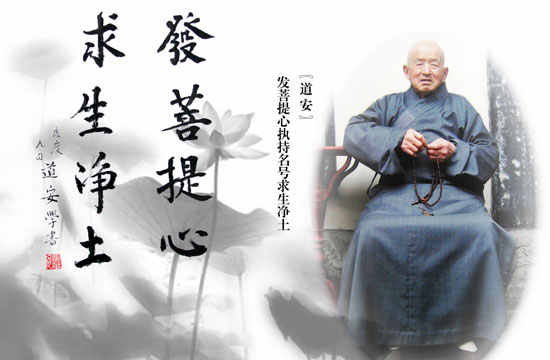 数据标题文字2