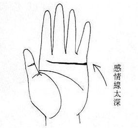 感情用事的女人手相(图片来源于作者博客)