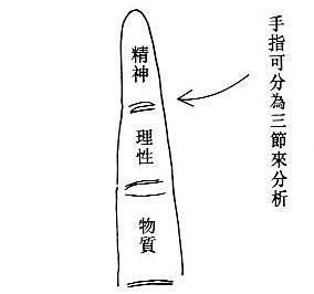 女人手相之看手指(图片来源于作者博客)