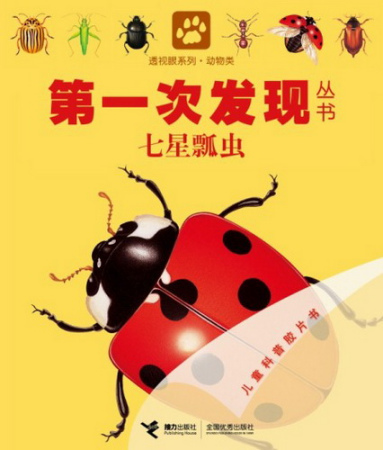 图为：《七星瓢虫》封面