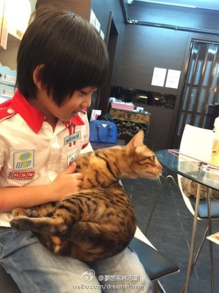 Kimi抱着猫咪喜爱不已
