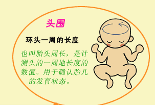 教你如何读懂b超单