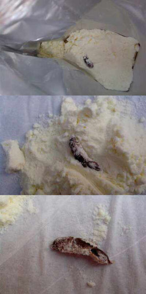 图为奶粉中的风干蟑螂。(图片来源：中国经济网)