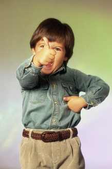 脾气暴躁的孩子易患心脏病_健康