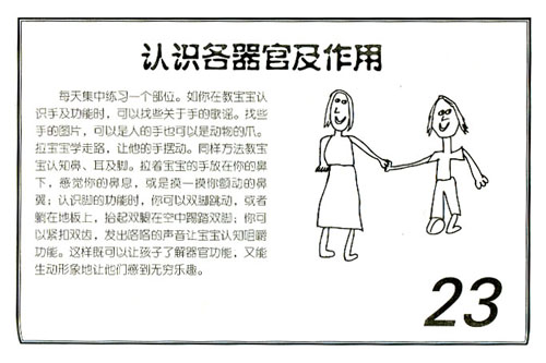 认识各器官及作用