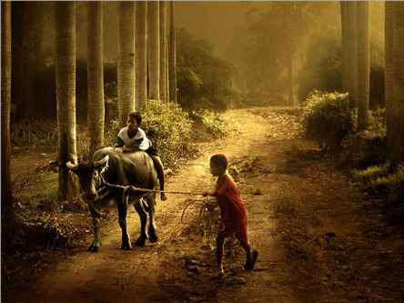 期:歌唱二小放牛郎(图)