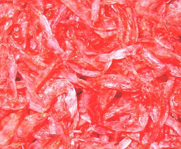 虾米颜色鲜红不宜吃(图)