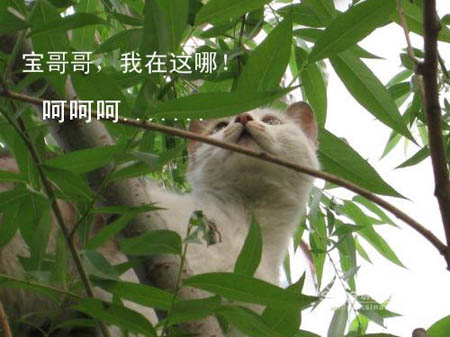 ͼƬһҳ