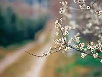 ëٽܣǷ˾һʺ