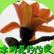 ľ޻Ȧ