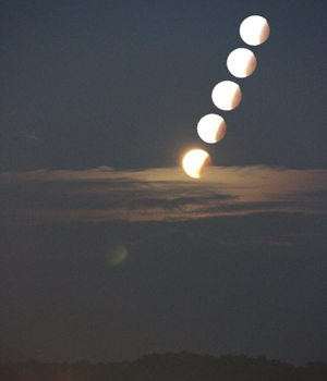 ̨�岩�ѣ����ĵ�����ƫʳ