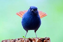 ��βˮ��ȹ��