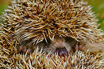 С������ռ�