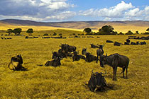 ������Ǩ��