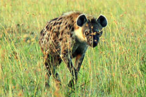 ż�����๷