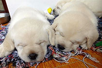 �����´����������