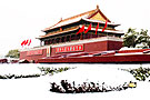 ѩе찲