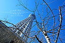 日本最高塔为中国改名