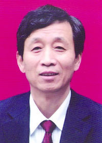 第八届茅盾文学奖入围作品:村子(冯积岐)