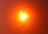 ��ƽ�����ʳ
