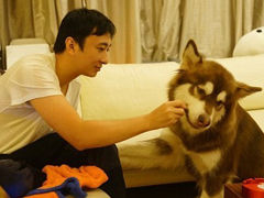 王思聪爱犬火到国外