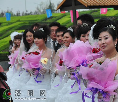 幸福姻缘云中漫步——2010洛阳牡丹婚典隆重举行