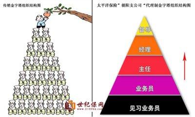 中国太保支公司组织结构金字塔与传销金字塔比较