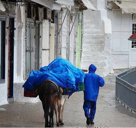 雨中相伴而行 雨中相伴而行
