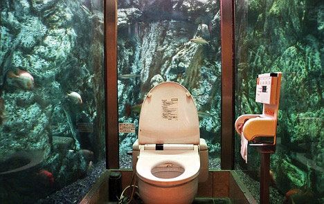 日本明石的Mumin Papa Cafe,这是一个水族馆里的厕所,仅供女性使用,有女士抱怨在如厕的时候有雄海龟偷看她,的确,突然冒出一个龟头是会吓坏人的。 日本明石的Mumin Papa Cafe,这是一个水族馆里的厕所,仅供女性使用,有女士抱怨在如厕的时候有雄海龟偷看她,的确,突然冒出一个龟头是会吓坏人的。